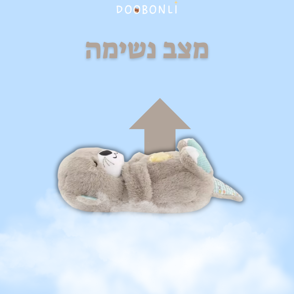 דובונלי - לוטרה